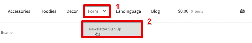 Opening the newsletter sign-up form