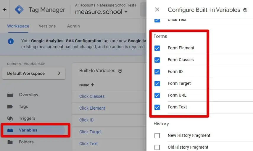 Activating form variables in GTM