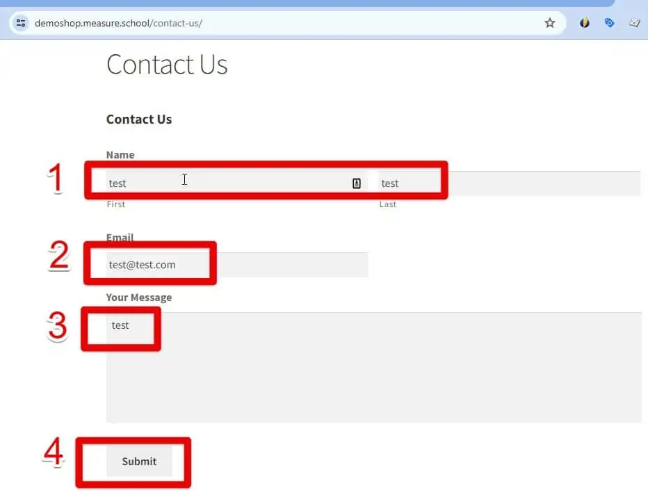 Filling out the form for testing