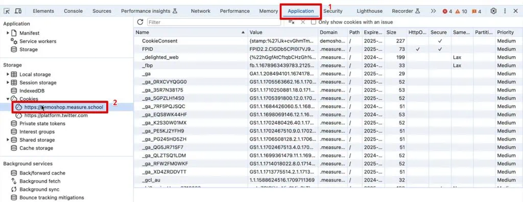Checking the website cookies