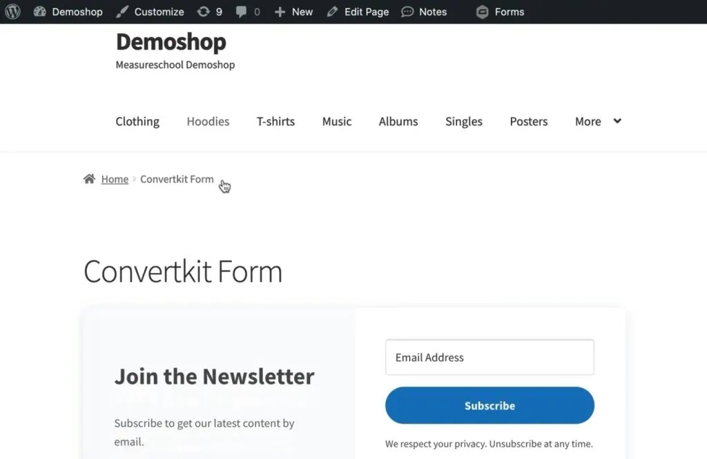 ConvertKit form in the demo website