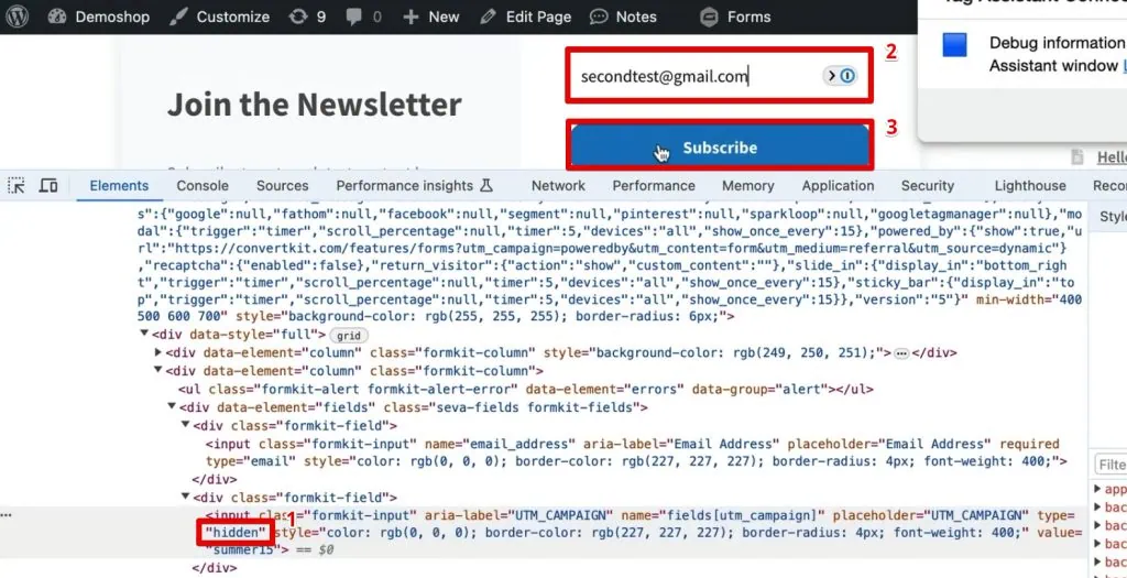 Hiding the utm_campaign form field and subscribing to the ConvertKit form