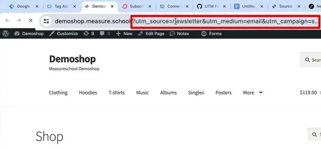 UTM parameters in the URL