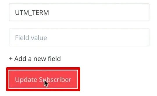 Updating subscriber fields