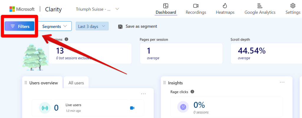 Accessing filters in Microsoft Clarity
